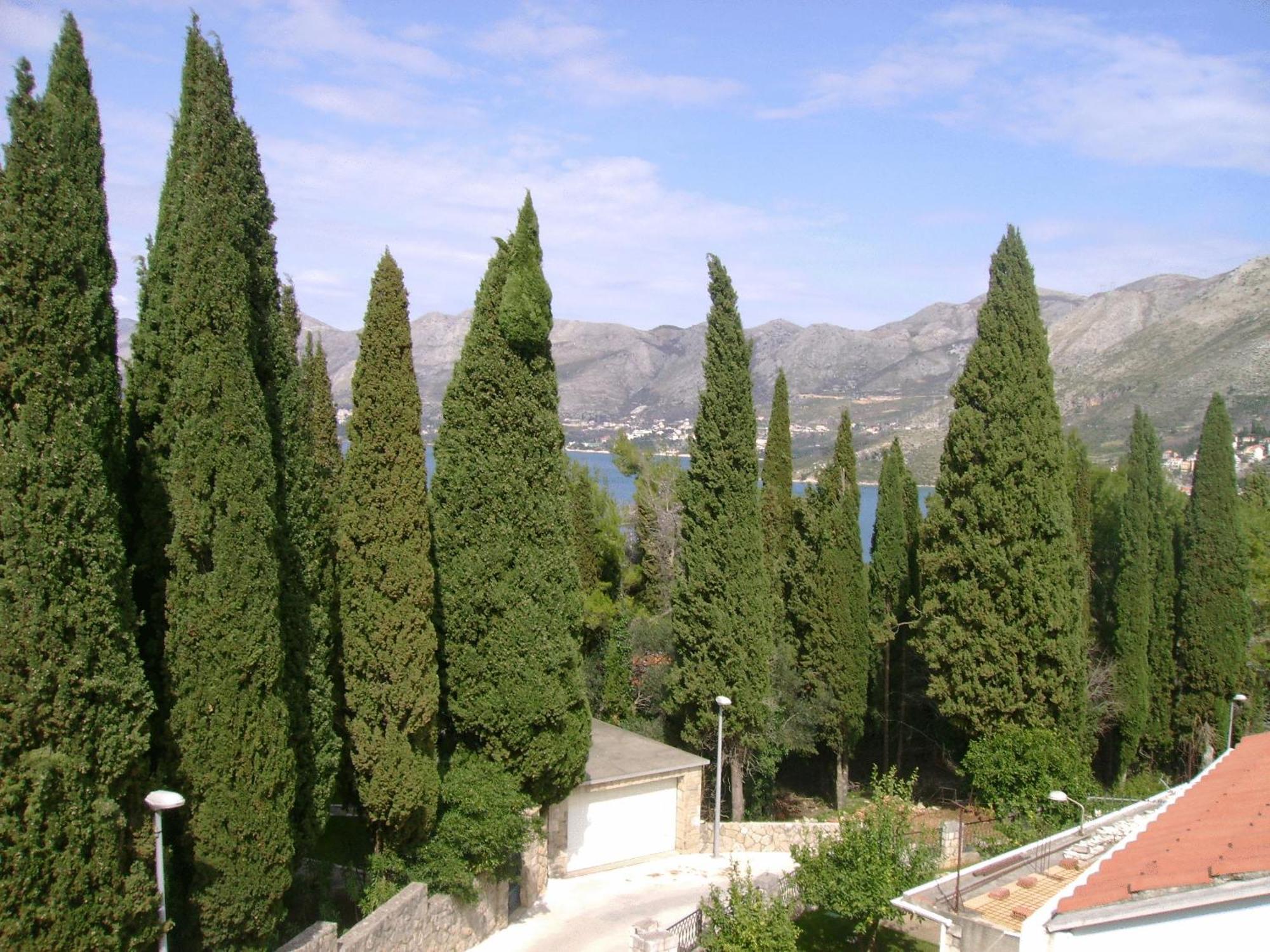 Villa Anka Cavtat Exterior foto